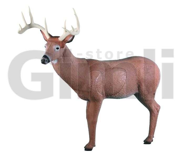 Rinehart Target 3D Big Ten Buck